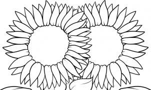 podsolnuh0135