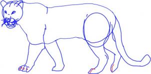 kak narisovat leoparda1013