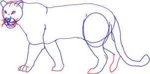 kak narisovat leoparda1013