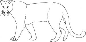 kak narisovat leoparda1013