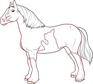 kak narisovat loshad1137