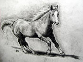 kak narisovat realistichnuyu loshad1149