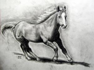kak narisovat realistichnuyu loshad1149