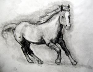 kak narisovat realistichnuyu loshad1149