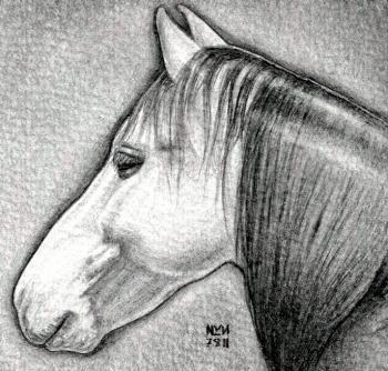 kak narisovat golovu loshadi1375