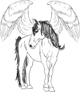 kak risovat pegasus1404
