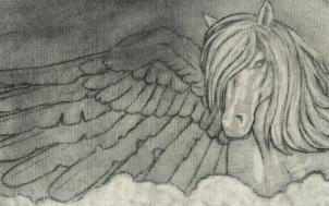 kak risovat realistichnogo pegasa1424