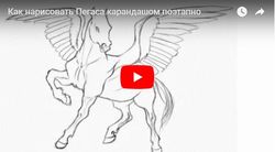 risuem pegasa video (2)