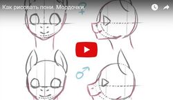 risuem poni video (3)