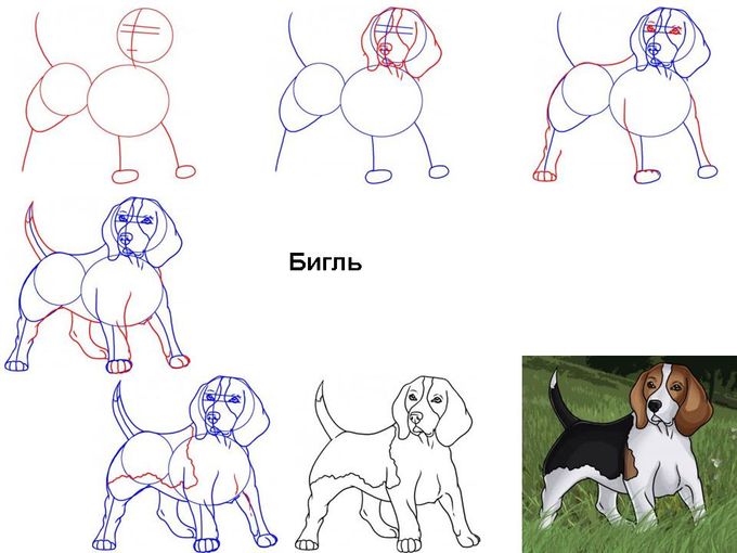 sobaka sidit