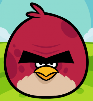 kak risovat big brother bird1830