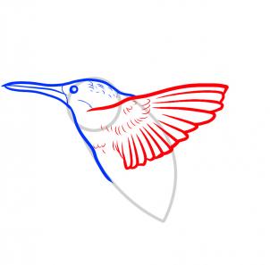kak risovat prostuyu kolibri2071