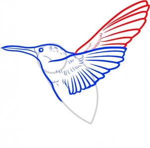 kak risovat prostuyu kolibri2071