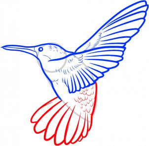 kak risovat prostuyu kolibri2071