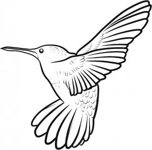 kak risovat prostuyu kolibri2071