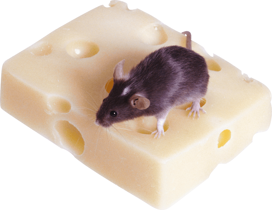 kartinki kryisa png325